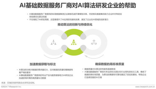 2024年中國(guó)AI基礎(chǔ)數(shù)據(jù)服務(wù)研究報(bào)告 聚焦工業(yè)互聯(lián)網(wǎng)數(shù)據(jù)服務(wù)